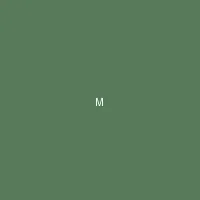 墨夜 (Midnight Ink) - 骚狐 创作者头像